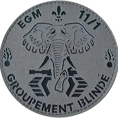EGM 11/1 Satory - Groupement Blindé
