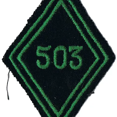 Losange de bras du 503ème Régiment de Chars de Combat - Modèle Troupe