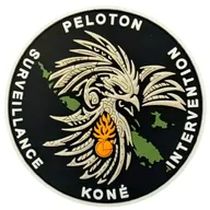 PSIG Koné