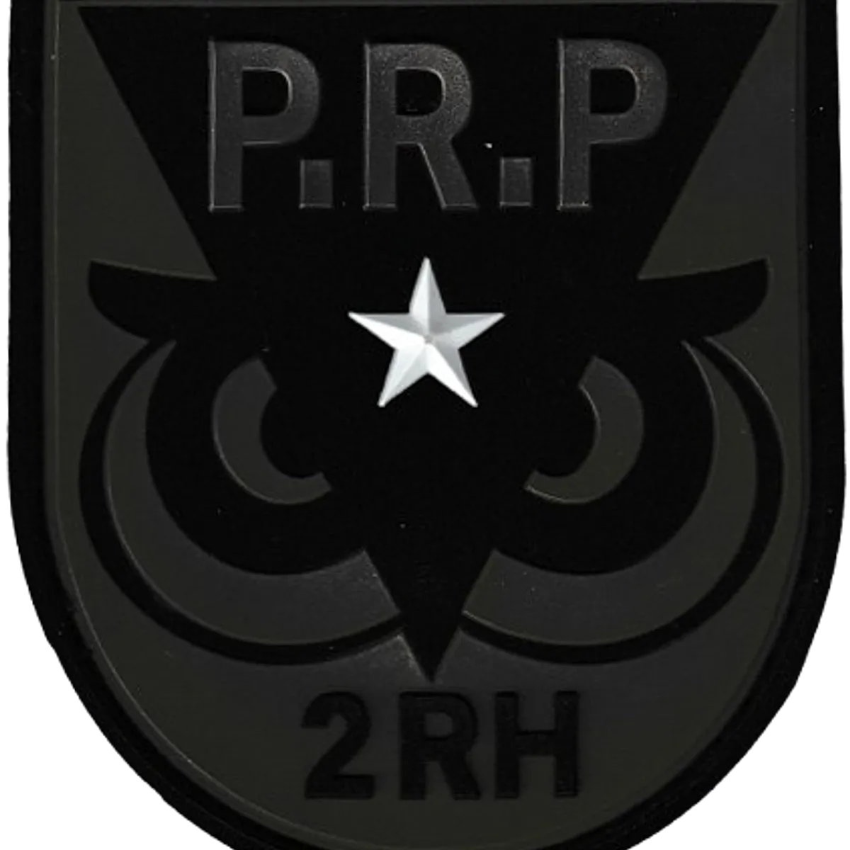 2ème Régiment de Hussards - Patrouille de Recherche Profonde - Adjoint chef d'équipe