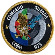 CORG 973
