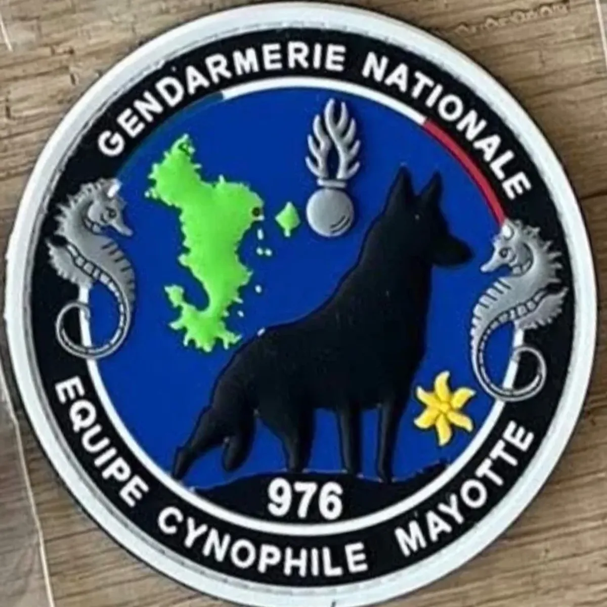 Gendarmerie Équipe cynophile K9 Mayotte 976