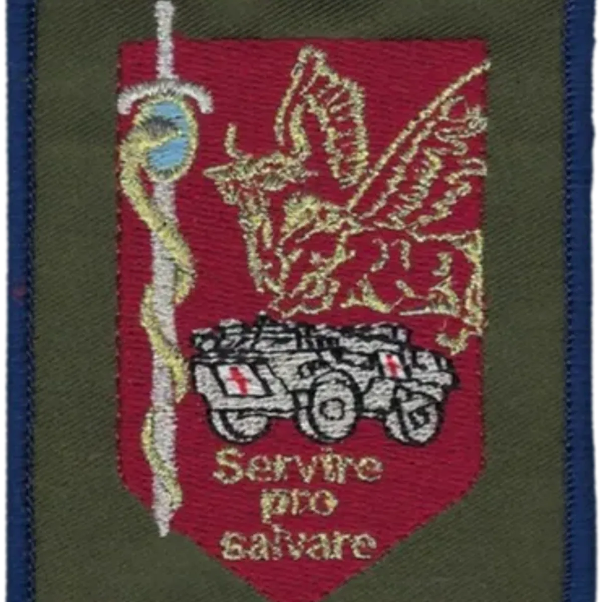 SSA : Régiment Médical Félin type 3 1ère CMC