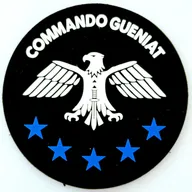 17e RGP - GCP