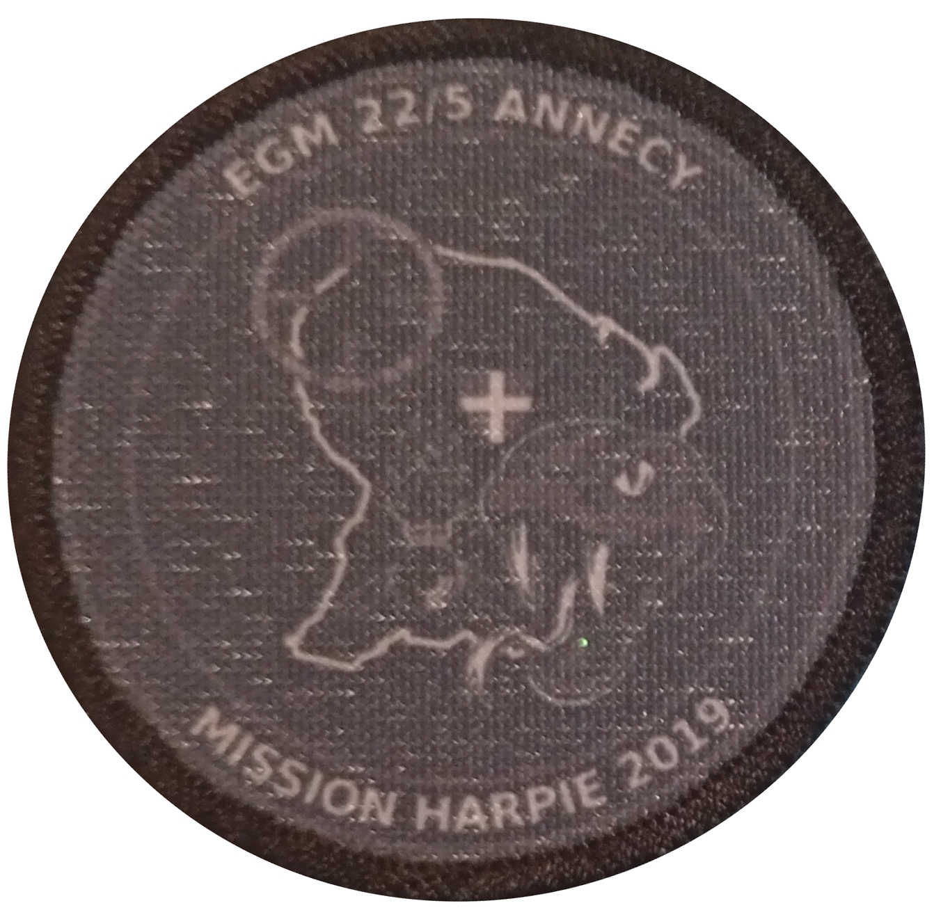 EGM 22/5 - Annecy - Harpie 2019