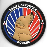 Douane - équipe cynophile  - Labrador Marron