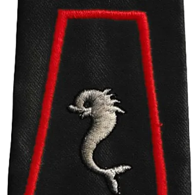 Passant d'épaule du 12ème Régiment de Cuirassiers - 2ème Escadron