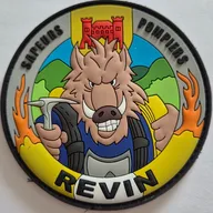 CIS Revin