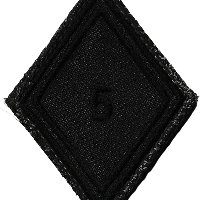 Losange de bras 5ème Régiment de Dragons (BV)