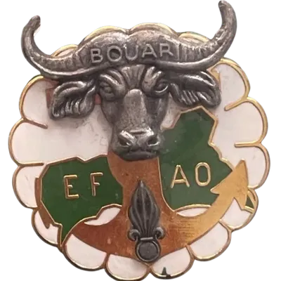 Éléments Français d'Assistance Opérationnelle EFAO