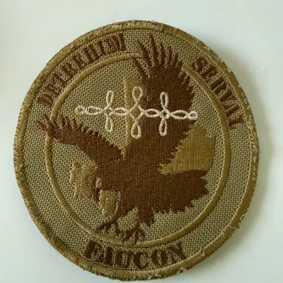 2ème Régiment de hussards - Serval
