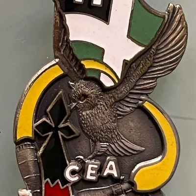 41e RI, CEA