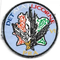 DETALAT Licorne mandat VI - PRA ( peloton de réparations des aéronefs )
