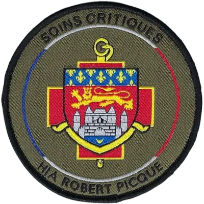 SSA : HIA Robert Picqué SOINS CRITIQUES