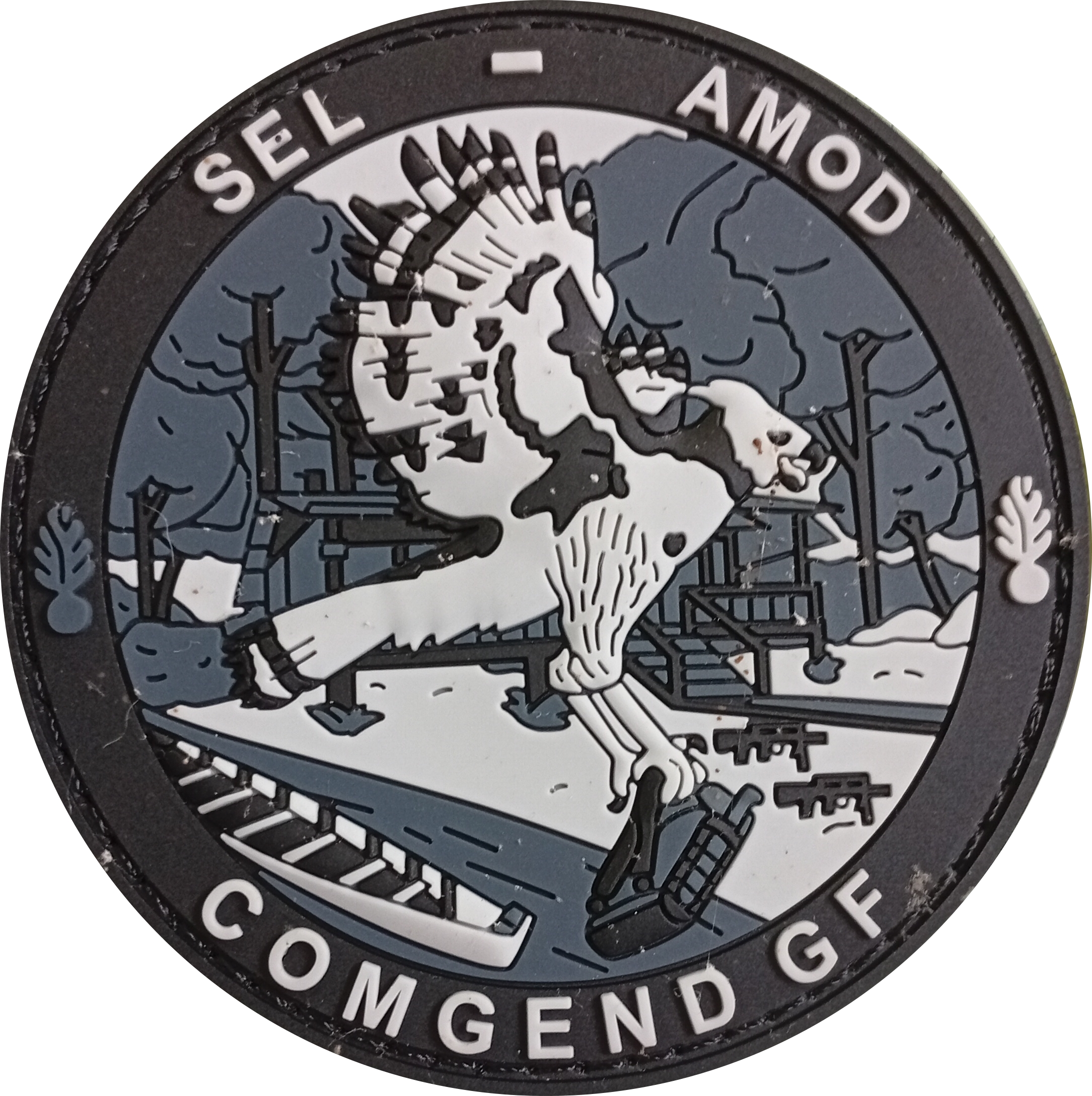 COMGEND GF  - SEL - AMOD