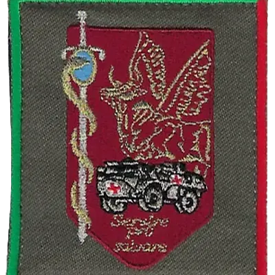 SSA : Régiment Médical Félin type 1 2ème NRBC