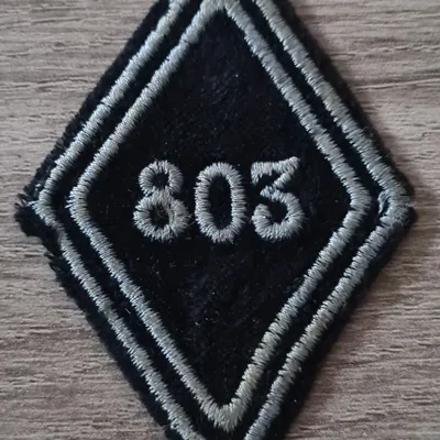 Losange 803eme GRET / Modèle Troupe 