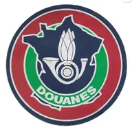 Douanes -Skieur 