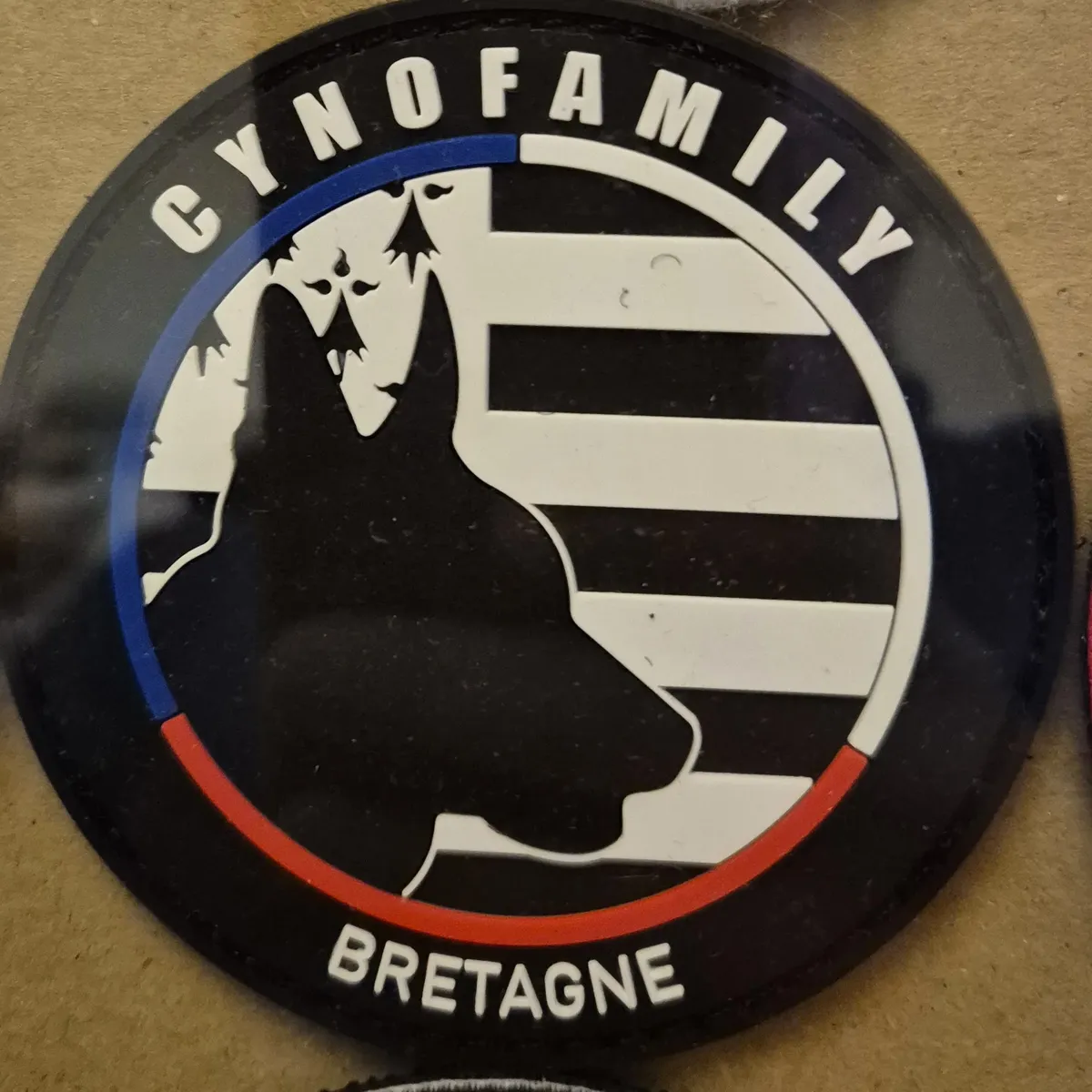 Cynofamily - Bretagne