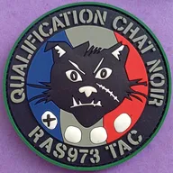 QUALIFICATION CHAT NOIR - RAS973 - TAC 