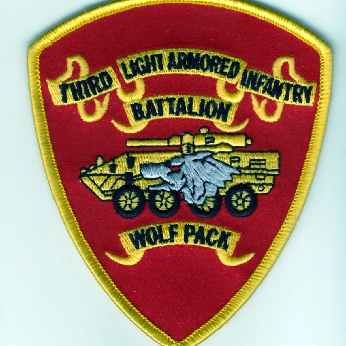3rd Light Armored Infantry Battalion (3rd LAI)