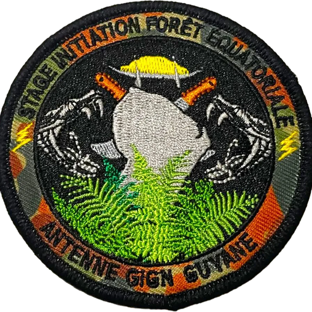 Écusson AGIGN Guyane Stage Forêt 