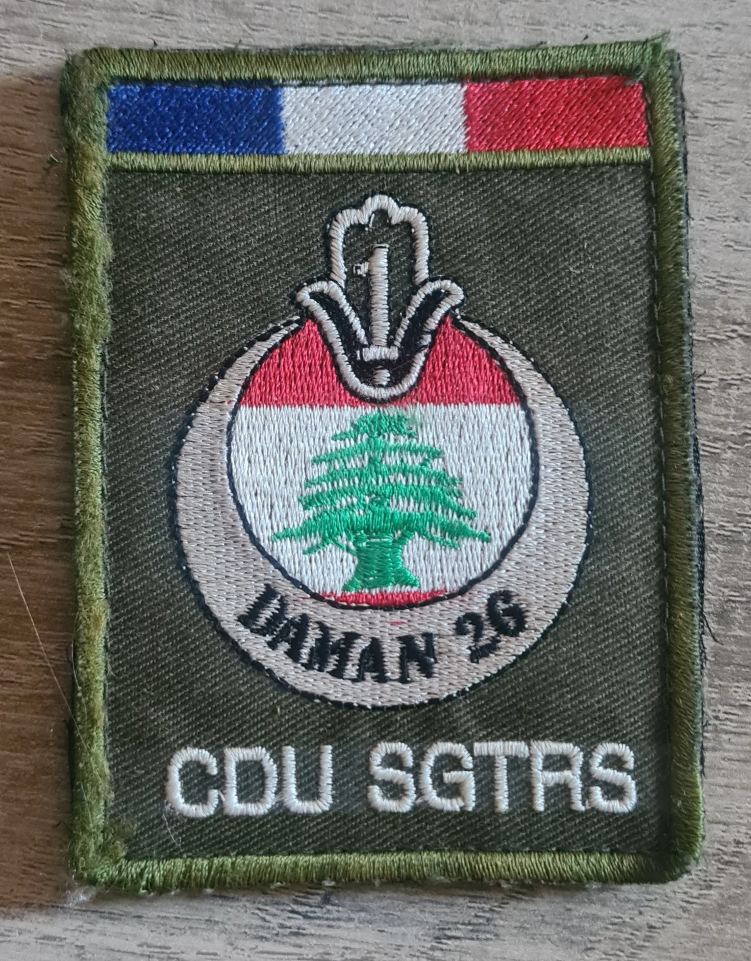 DAMAN 26 / Transmissions / CDU SGTRS