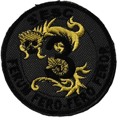 1er Régiment de Chasseurs - 3ème Escadron