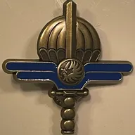 Brevet Maintenance Parachutage Largage, BRONZE
