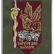 SSA : Régiment Médical Félin type 2 CCL