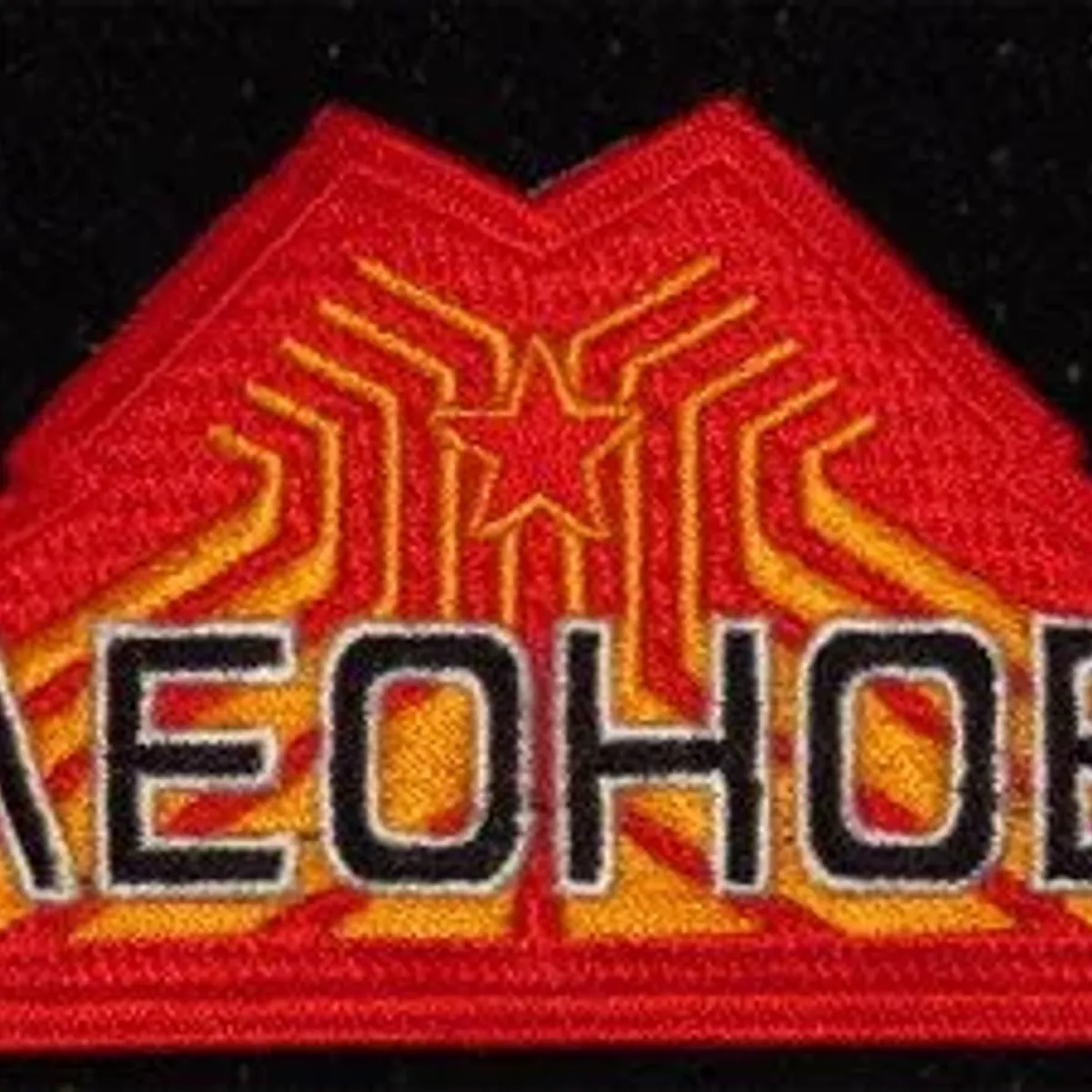2010 Leonov