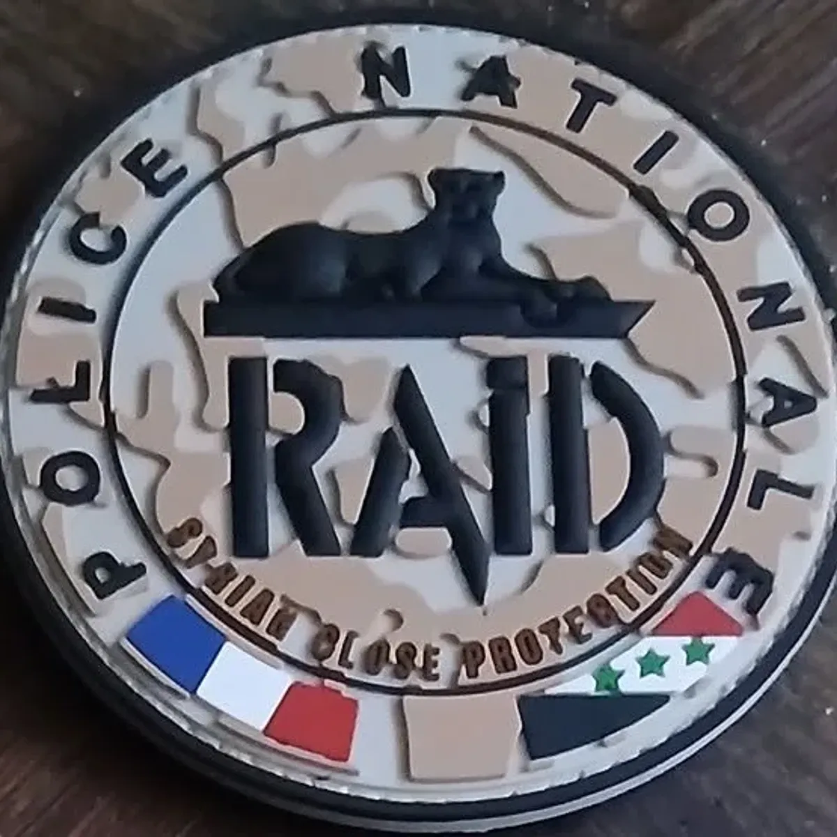 RAID Syrie