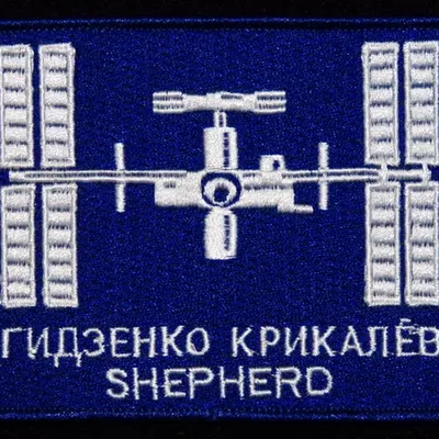 Expedition 1 Soyouz TM-31