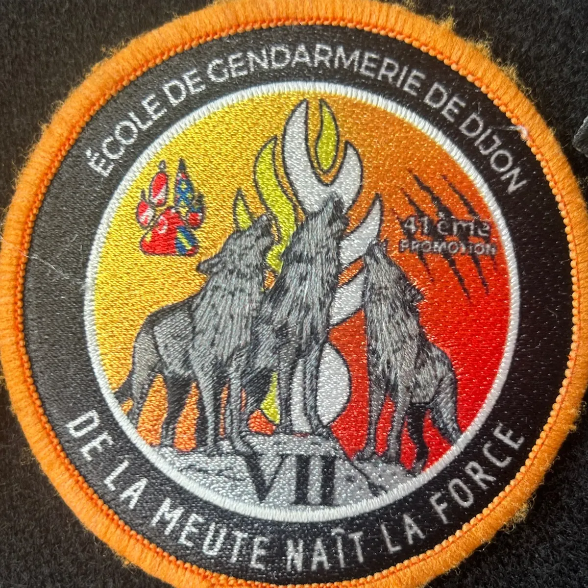 ESOG Dijon - 41e Promotion 