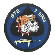 2e Régiment d'Infanterie de Marine - Compagnie d'Eclairage et d'Appui - STE