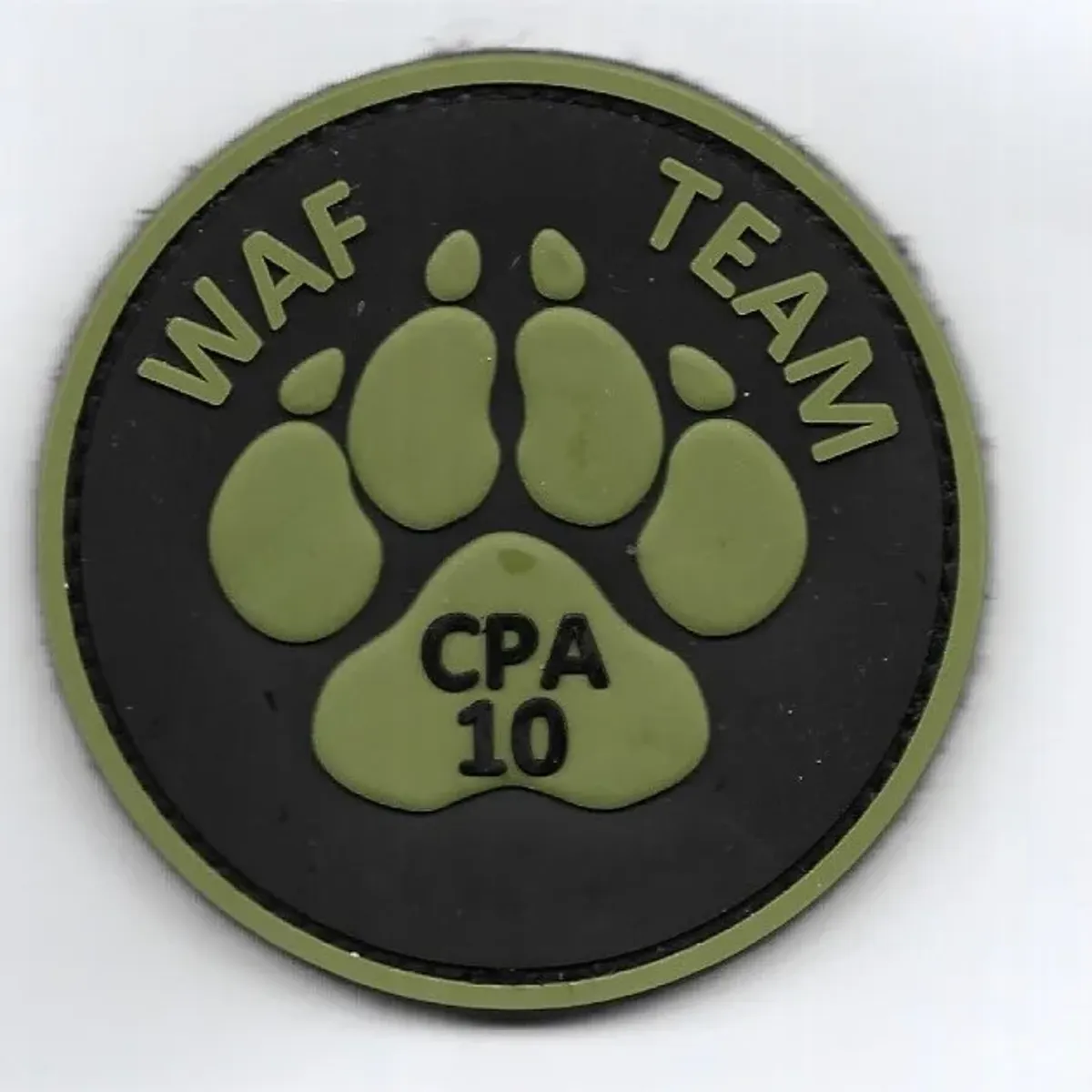 CPA 10 - Team WAF 