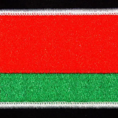 Drapeau Bielorussie Soyouz MS-25