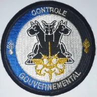 Contrôle gouvernemental