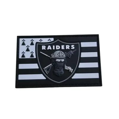RAID - RAIDERS