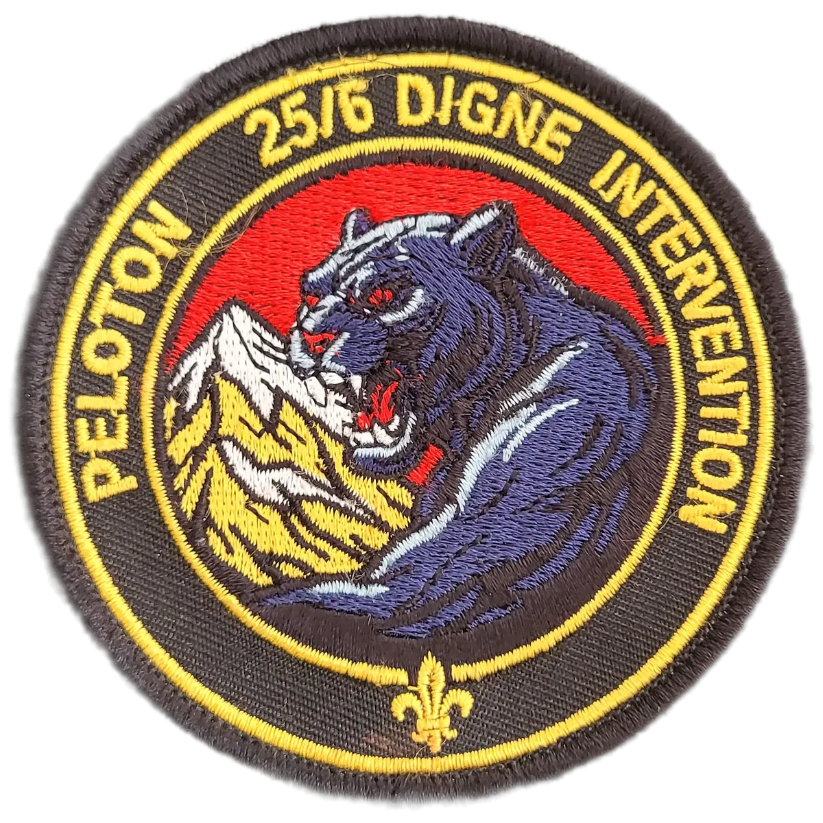 PI 25/6 Digne