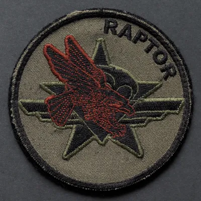 1er RCP, Battle Group Raptor, Afghanistan 2011