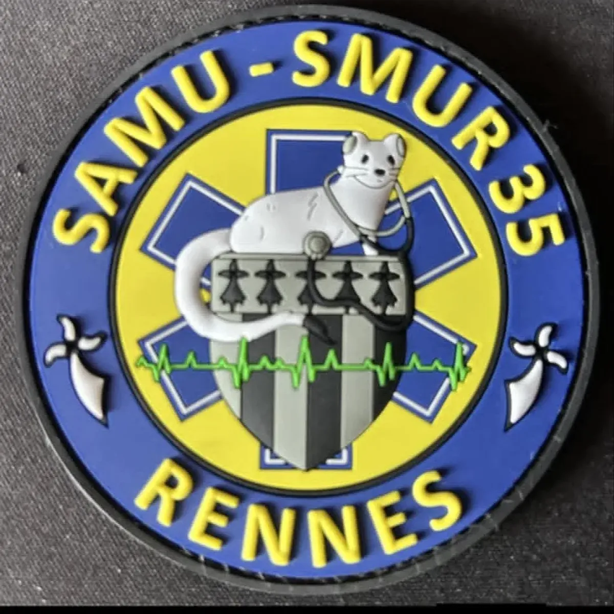 SMUR 35 Rennes