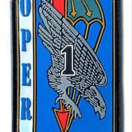 13e RDP - 1er escadron - OPER