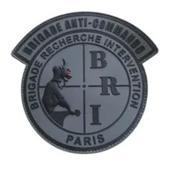 BRI-PP