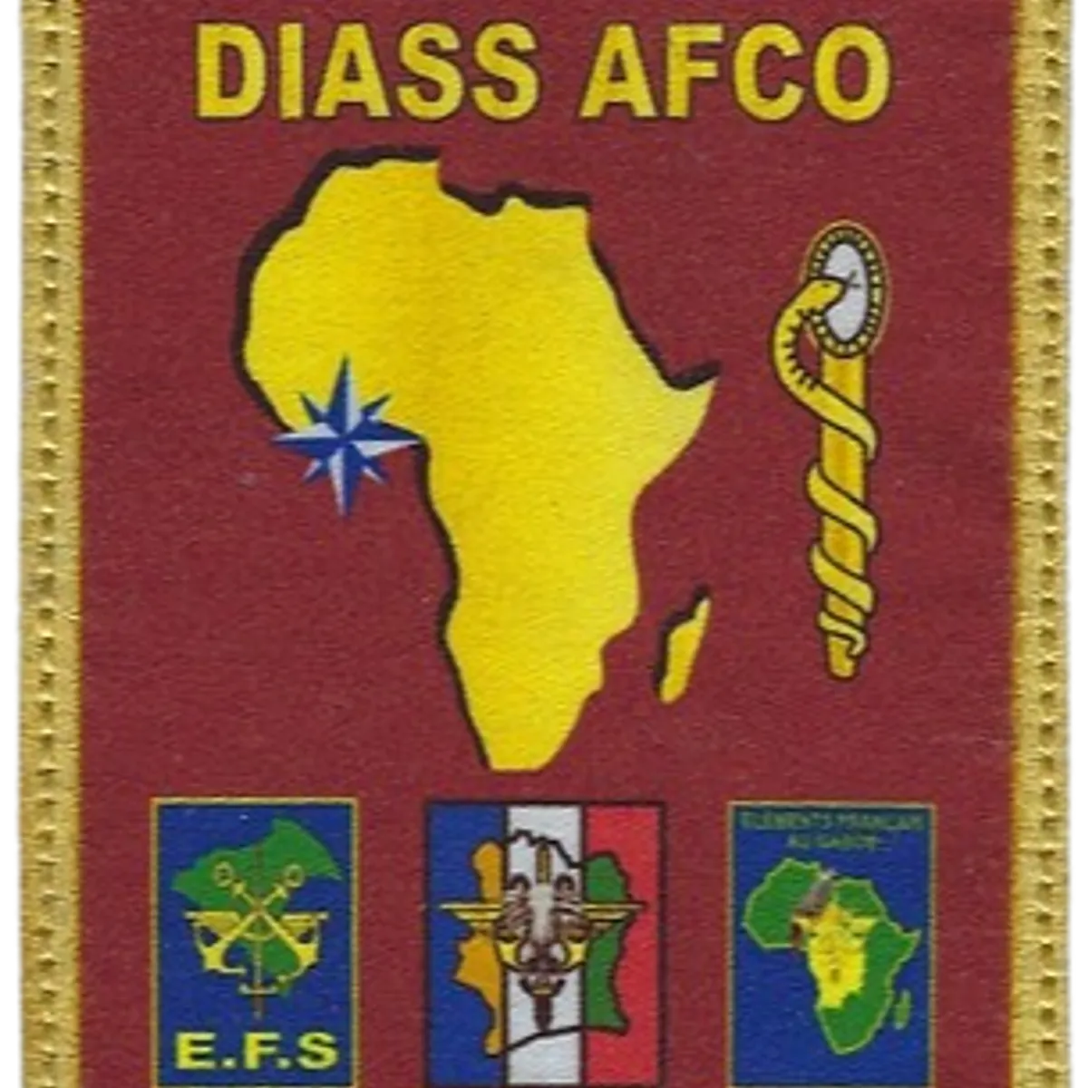 SSA : DIASS AFCO 