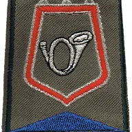 Passant d'épaule du Groupe d'Escadrons 1er Régiment de Chasseurs - 3ème Escadron (V2)