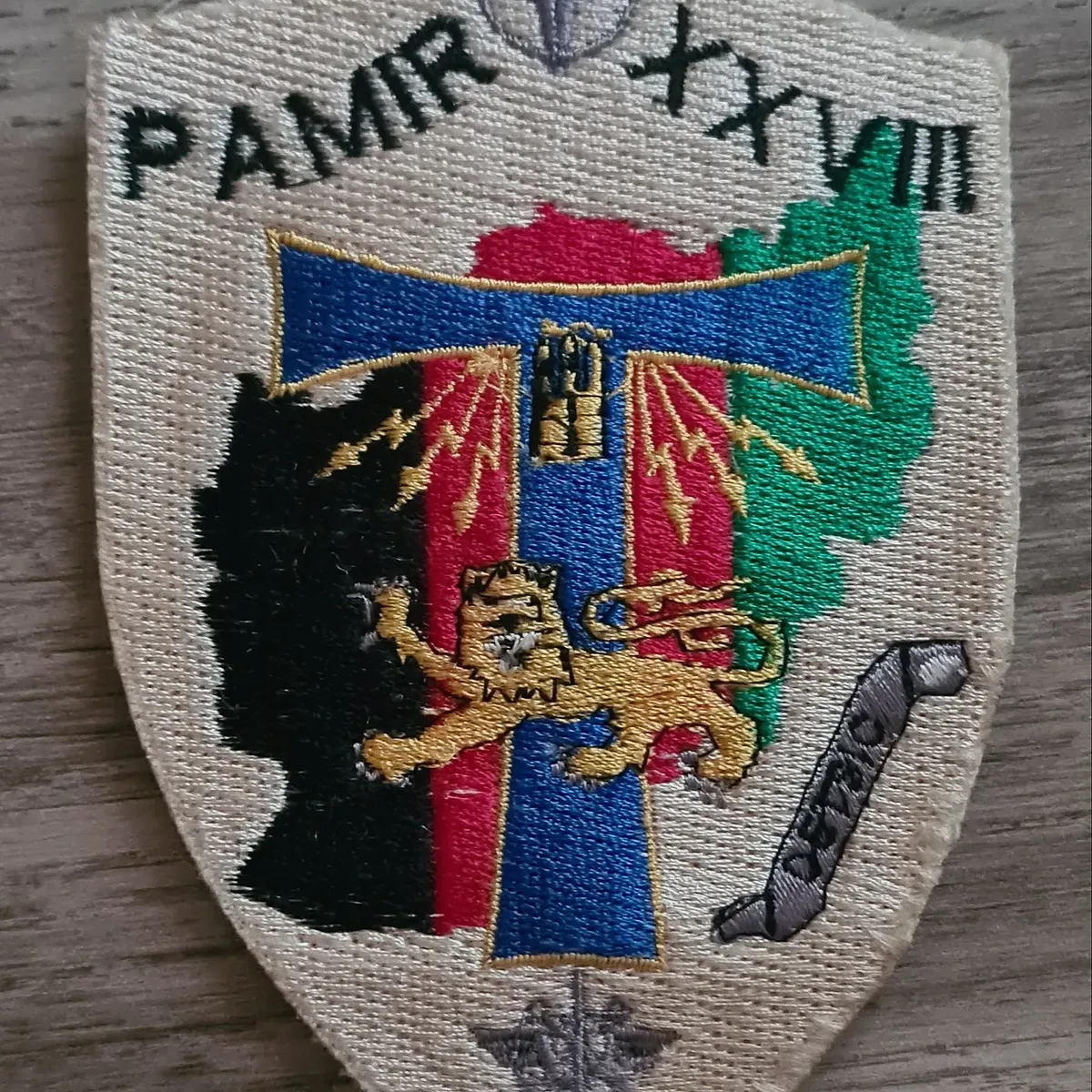 PAMIR XXVIII / DETSIC