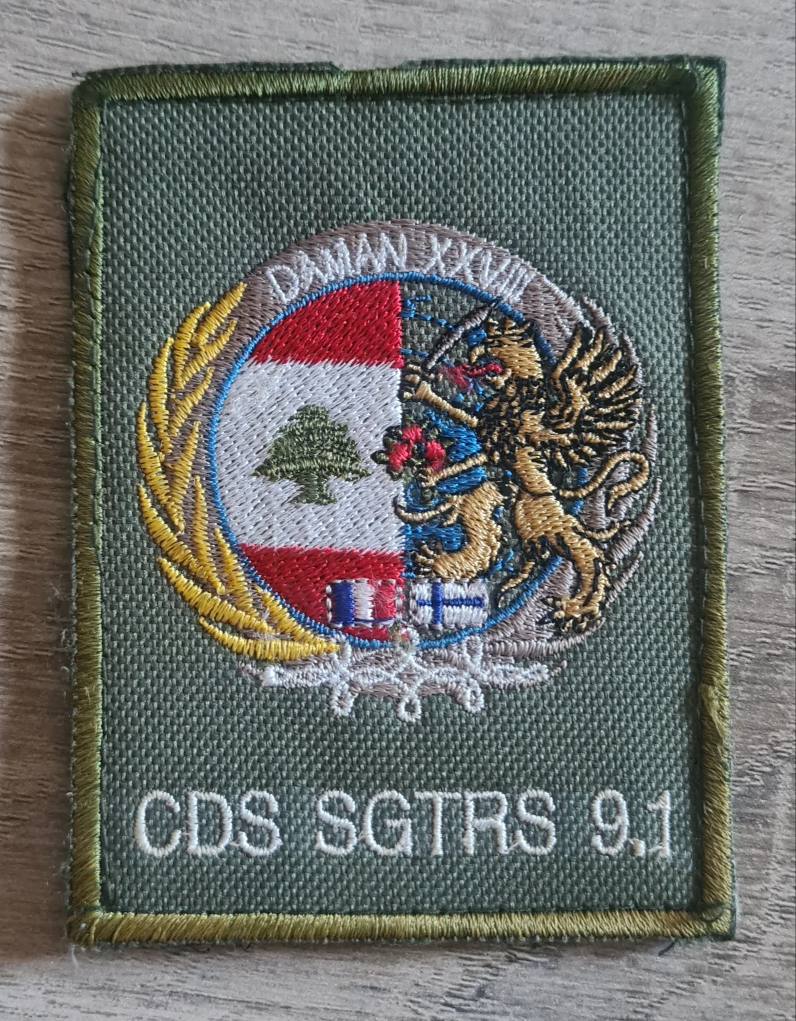 DAMAN XXVIII / Transmissions / CDS SGTRS 9.1 / Variante 