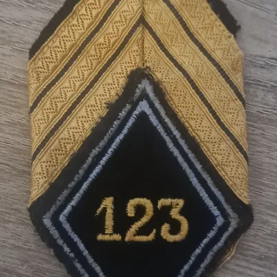 Losange 123eme GET / Modèle Cadre avec chiffre jaune / Sergent Chef 