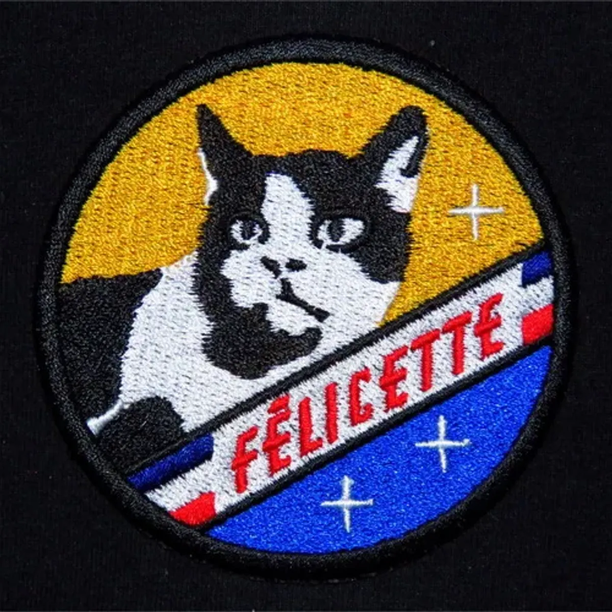 Félicette chat spatial souvenir